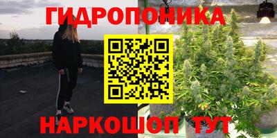 прущая мука Кимры