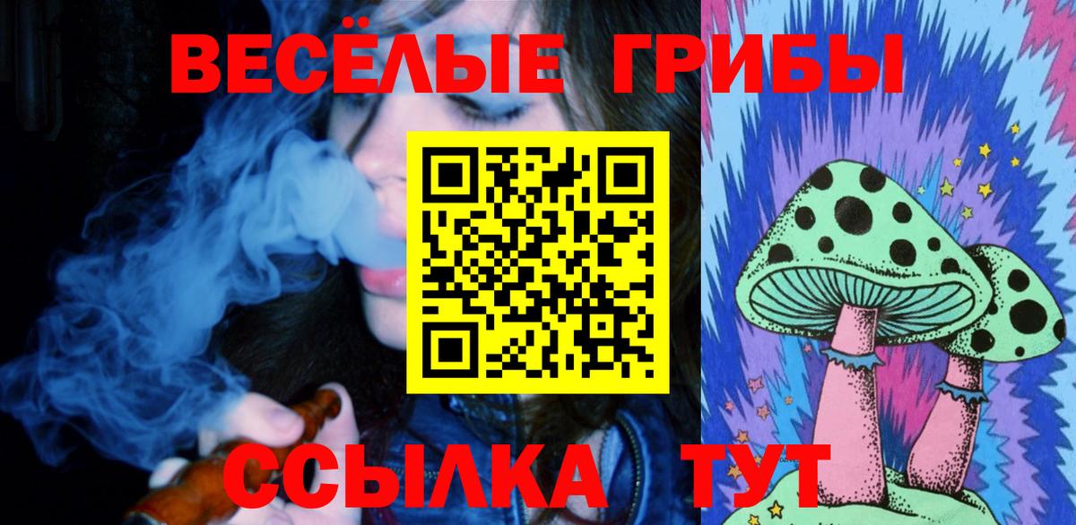 Псилоцибиновые грибы Magic Shrooms  Вход с VPN  Кропоткин  Галлюциногенные грибы MAGIC MUSHROOMS 